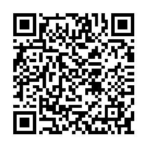 大约是经历了一天才抵达这一块神秘陆地的边缘二维码生成