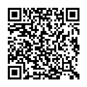 大约是那两个半步武宗真的确定苏林已经走远了二维码生成