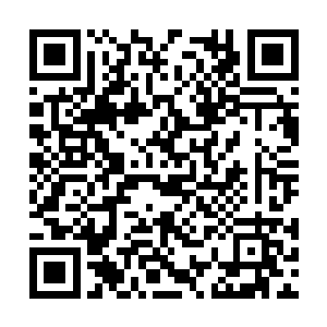 大罗天也一定会让出一部分利益还小罗天一个人情二维码生成