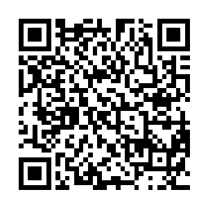 大罗金仙的功德戒指的内部空间就好像一个小世界似的二维码生成