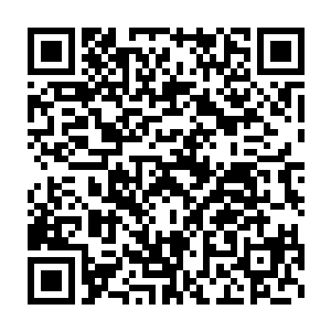 大群的金枪鱼而且最大的一条蓝鳍金枪鱼还想把船上的摄像头吞下去二维码生成
