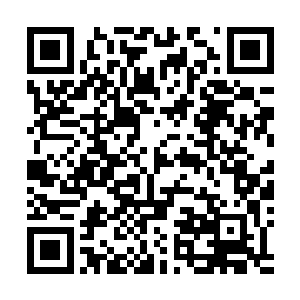 大群身穿明黄色飞鱼服的锦衣官校正呜嘟呜嘟的奏着鼓号二维码生成