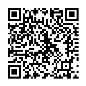 大胃王里出现了那么多种类的肉她感觉自己都没有吃过啊二维码生成