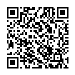 大胖子鬼和不知道从什么地方冒出来的孙大大脸都绿了二维码生成