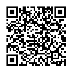 大脑受到直接的攻击没有直接毙命已经算是奇迹了二维码生成