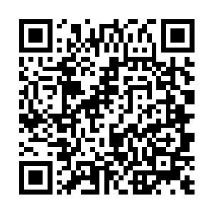 大花小花也是因为生活贫困才去内地给大户人家做保姆二维码生成