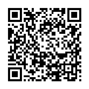 大荒血戟的第一任主人……八万年前天衍大陆的封皇强者二维码生成