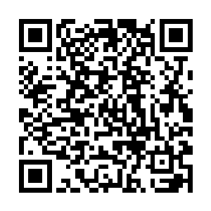 大荒门从来都没有想到有一天金圣银圣还会进化……二维码生成