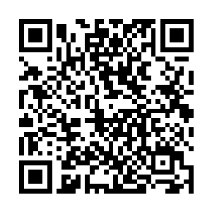 大荒门当初几乎是南疆亿万大山之中当之无愧的统治者二维码生成