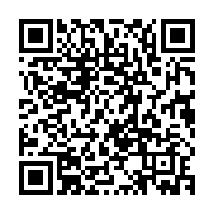 大街上依然可以见到被战火摧残后的焦黑墙体和布满弹孔的窗子二维码生成