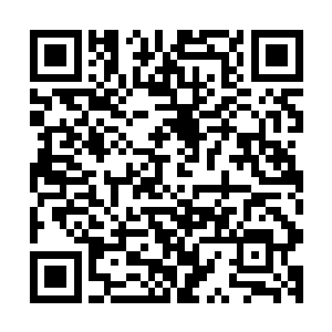 大西天之主梦天罗神魂元灵意外受损固然是大西天陨灭的主因二维码生成