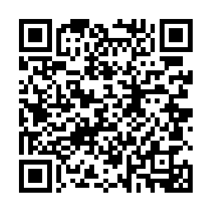 大西天还有君主阁乱入的战局就这么诡异的结束了……二维码生成