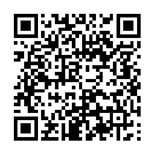 大规模军团作战比起他们以前的小打小闹畅快多了二维码生成