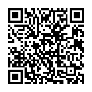 大角小小的身子被放到了充满细胞修复液的密封舱中二维码生成