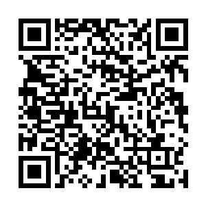 大象尸兄里夫如同炮弹一样撞进了旁边的一幢二层小楼二维码生成