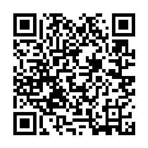 大赛提供的草药和炼丹炉在开赛之前可是经过检查二维码生成