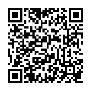 大道方圆是军部国家安全处秘密设立的培训基地二维码生成