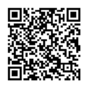大部分人还认为白河谷地会在联盟大军的围攻之下灰飞烟灭二维码生成