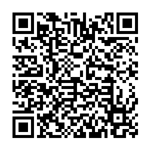 大部分作品在一声令下之后不约而同地沿着蛋圆圆的跑道跑了起来二维码生成