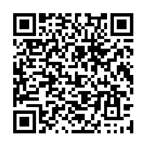 大部分修士都没有遇见过可以攻击对手神魂的武器二维码生成