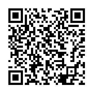 大部分养殖户已经决定要按照原计划让种兔入栏了二维码生成