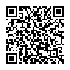 大部分是原封不动的运输到了白河谷地的仓库里二维码生成