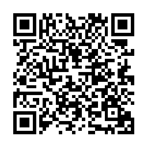 大部分电影电视剧都是直接从sag推荐的演员库里选角的二维码生成