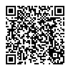 大部分的人不是听到了价格自己挂掉就是被约瑟夫说了一句对不起给拒绝掉了二维码生成