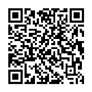 大部分的人还是挡住了这些砂砾和地核能量的无差别攻击二维码生成
