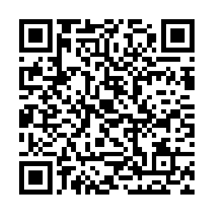 大部分的修真者必须依靠珍贵的筑基丹才有机会突破二维码生成