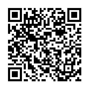 大部都是抱着法不责众的态度……实际主动联系投降很少见二维码生成