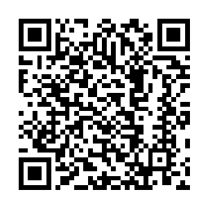 大量狂猛的元气如同洪水猛兽一般疯狂冲入林铭经脉之中二维码生成