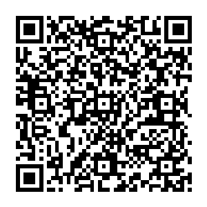 大量的火药爆炸产生的震荡让这些身处爆炸点半里之内却没有丝毫准备的西夏人吃足了苦头二维码生成