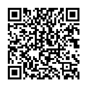 大量的鲜血甚至还有黑色的内脏碎块跟着从嘴里喷出二维码生成