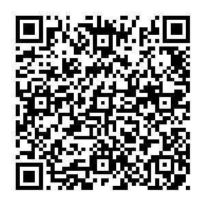 大量碎肉残骨以及脑浆粘液在楚旬那可怕力量的作用下向着圣甲虫人身后喷洒而出二维码生成