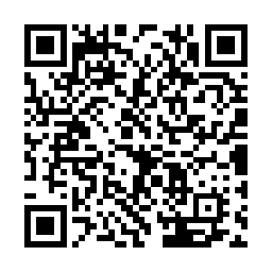 大量鲜血也开始从那金甲巨神的断臂之中喷涌而出二维码生成