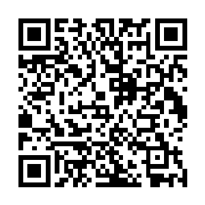 大长老和二长老的脸上顿时也是露出了一抹无比震惊的神情二维码生成