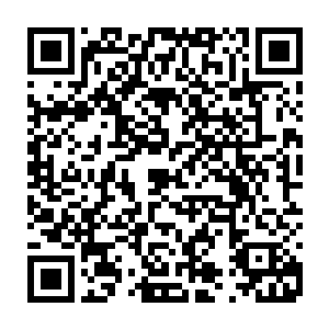 大长老和二长老还有萧家武家的老者的目光也朝着夏家的老者的身上望去二维码生成