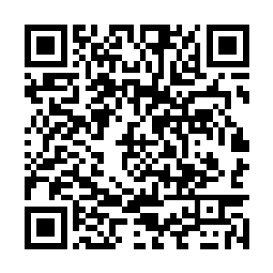 大门直接撞在墙壁上发出的声音让院长停止了碎念二维码生成