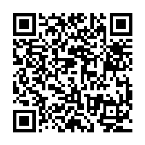 大队人马里王崇古府上那几位侄小姐孙小姐全都看傻了眼二维码生成