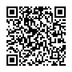 大阵之内的欧阳家族修士不禁紧了紧手中的仙器二维码生成