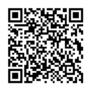 大阵之内的欧阳族人俱都神色紧张地仰首望着空中的尹志韵二维码生成