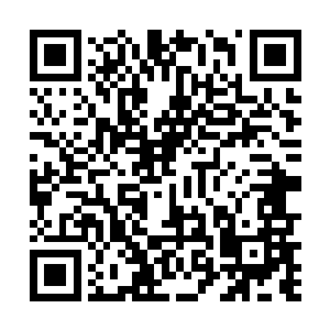 大阵被轰破产生的巨大震荡让魔骇的身体都是一阵摇晃二维码生成