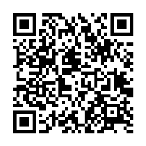 大阿贝克尔带着的伊拉克承包商现在对华国人彻底服气二维码生成