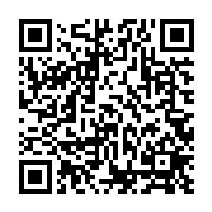 大陆上几乎所有女子都仰望的晋王殿下为她做到如此地步二维码生成