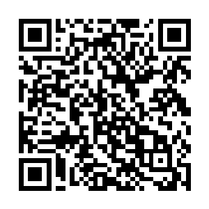 大院里出来一个人引他来到了金家家主金元河的书房二维码生成