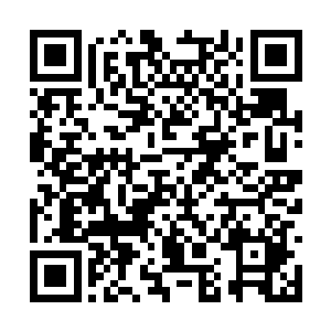 大隋的盛世在中国乃是世界历史上都是空前绝后的二维码生成