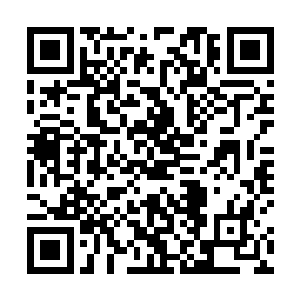 大雨衣这时伸手从雨衣里掏出一个折起来的单肩大背包二维码生成