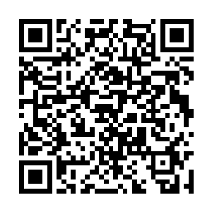 大露背的设计将她背部的优雅曲线完美展现了出来二维码生成