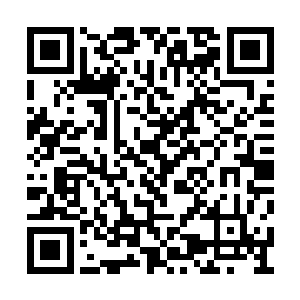 大鱼哗啦冲出水面腾空好远又哗啦溅开水花砸下二维码生成